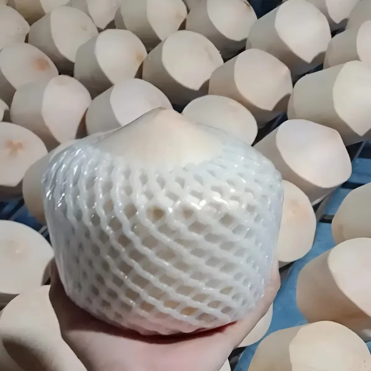 Product Thumb